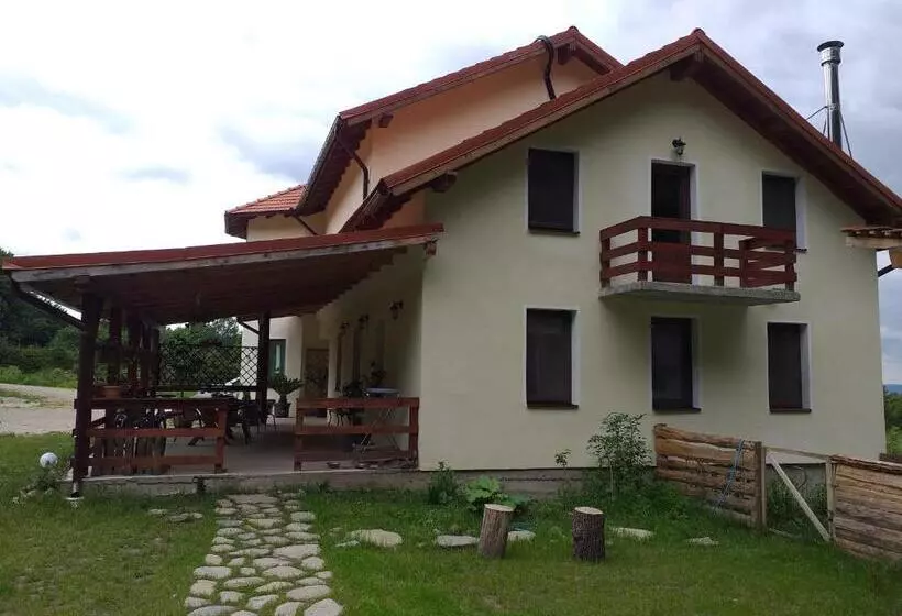 Pensiunea Rozelor Stațiunea Climaterică Sâmbăta