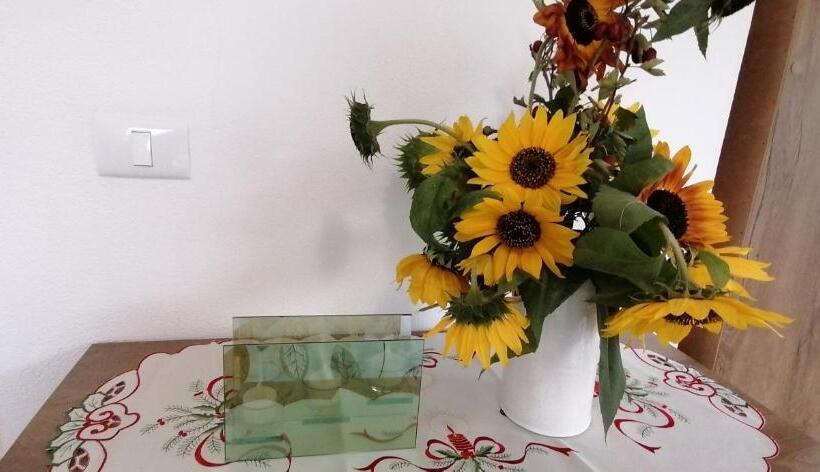 Pensiunea Rozelor Stațiunea Climaterică Sâmbăta