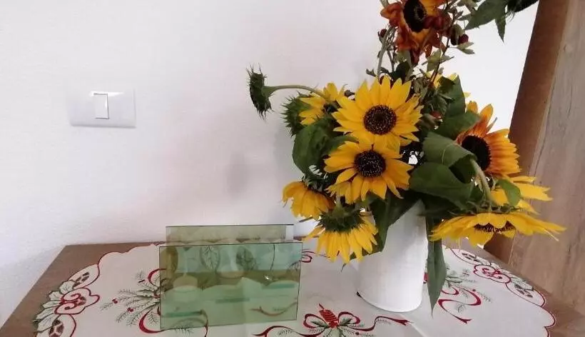 Pensiunea Rozelor Stațiunea Climaterică Sâmbăta