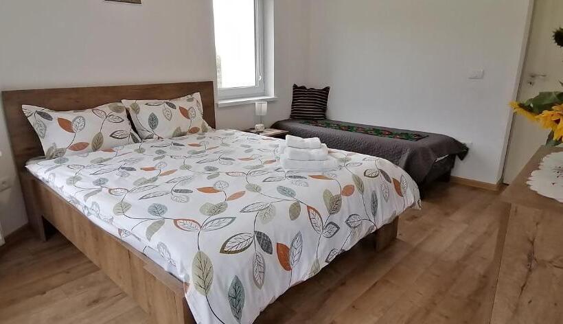 Pensiunea Rozelor Stațiunea Climaterică Sâmbăta