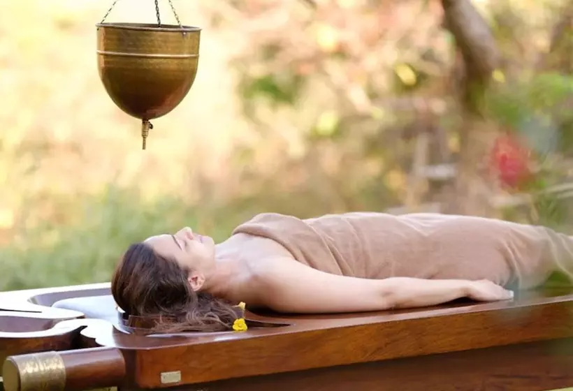 The Manor Luxury Apartments