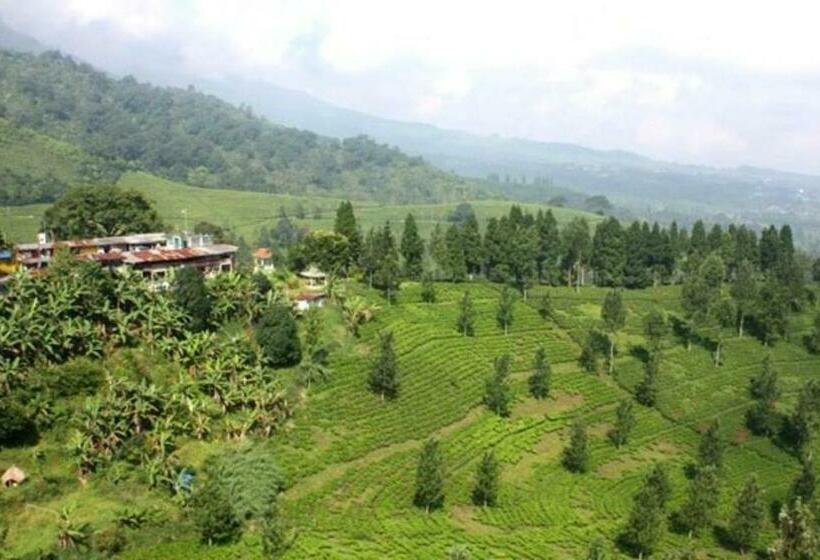 בית מלון כפרי Villa Permata