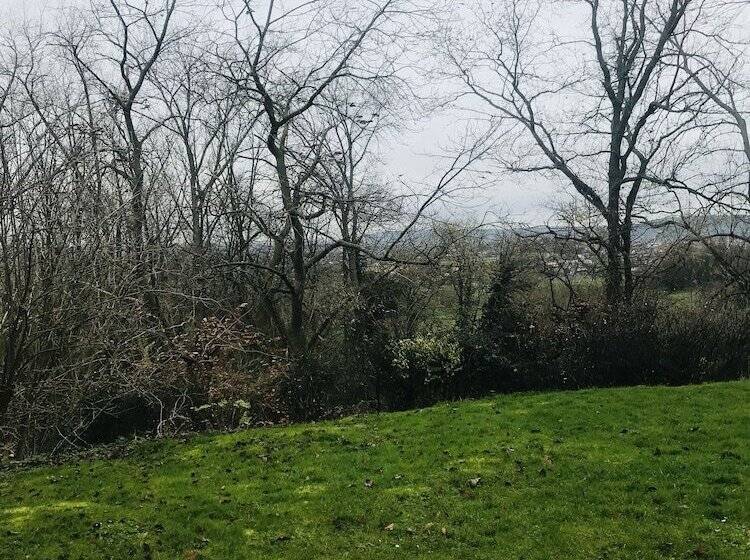 فندق Panacée Guesthouses