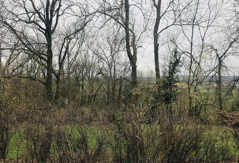 فندق Panacée Guesthouses