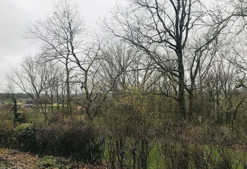 فندق Panacée Guesthouses