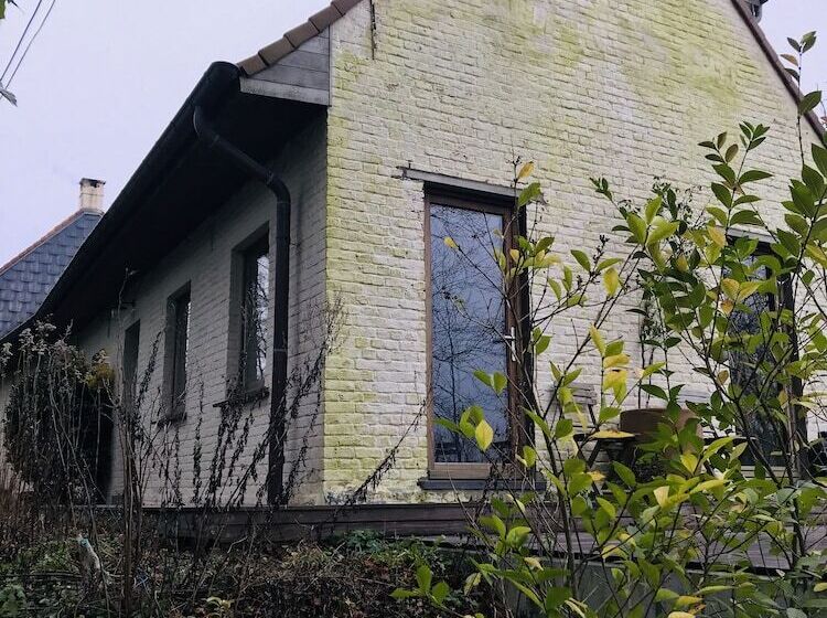 فندق Panacée Guesthouses