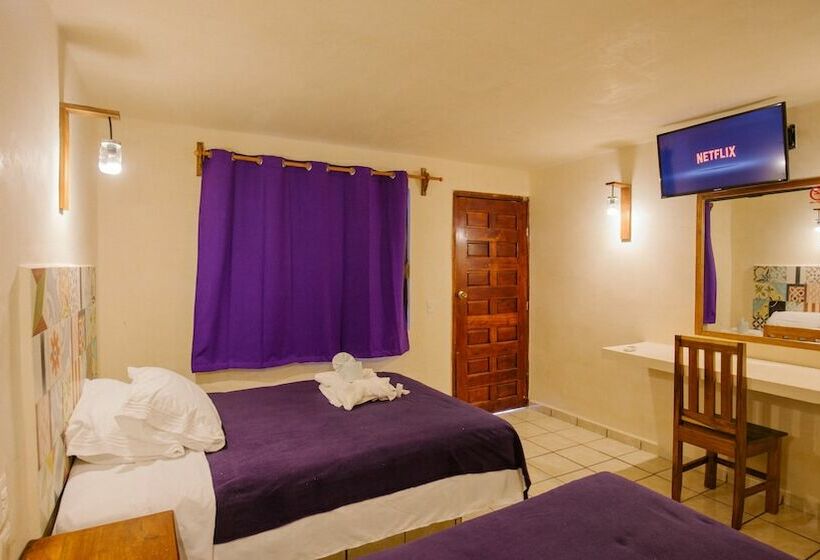 هتل Casa Anaya Hostel