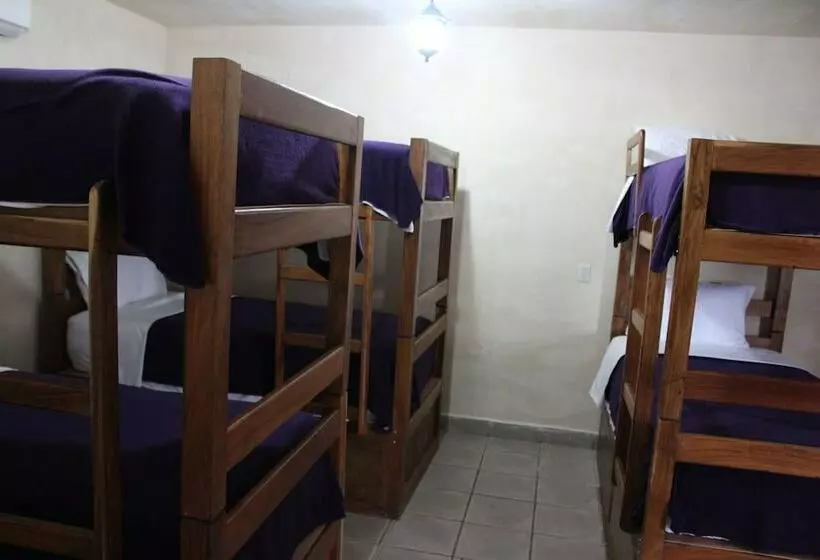 ホテル Casa Anaya   Hostel