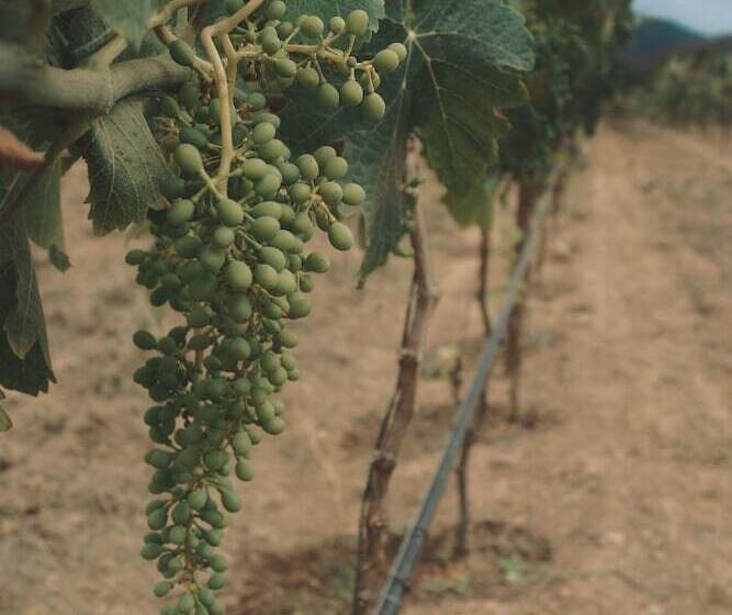 Finca Tre Hotel And Villas Resort