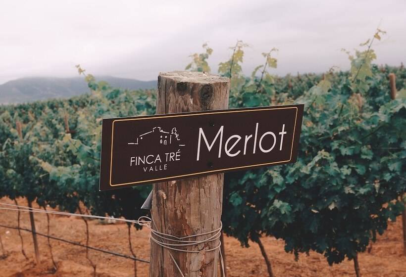 Finca Tre Hotel And Villas Resort