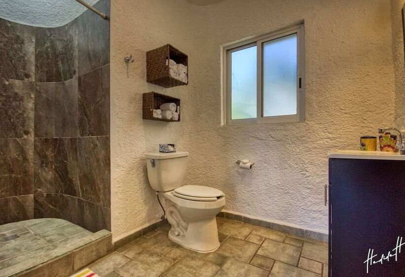 Hotelli Antigua De Cabo