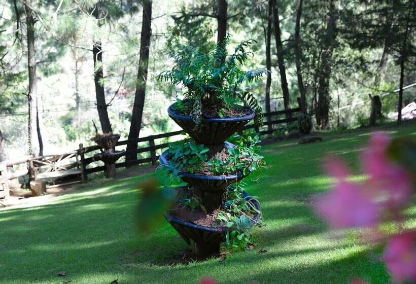 فندق Cabañas Alborada