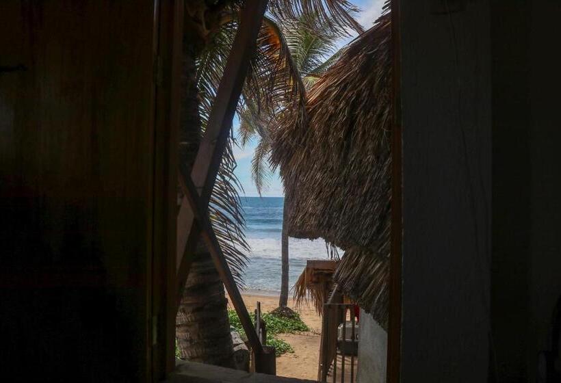 酒店 Cafe Maya   Casa Acalli