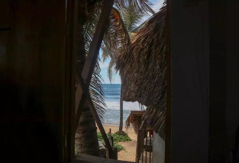 Hotelli Cafe Maya   Casa Acalli