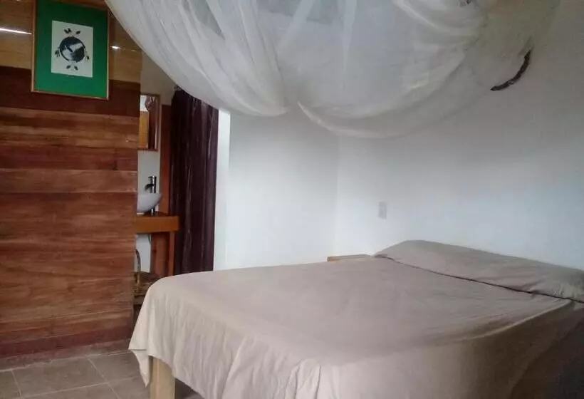 Hotelli Cafe Maya   Casa Acalli