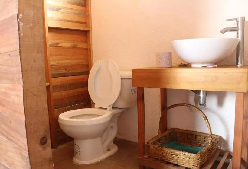 Hotelli Cafe Maya   Casa Acalli