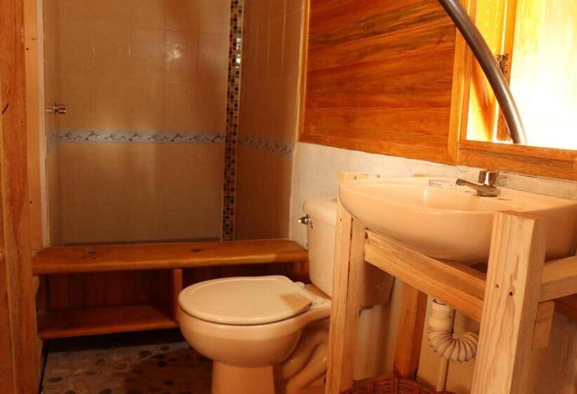 酒店 Cafe Maya   Casa Acalli