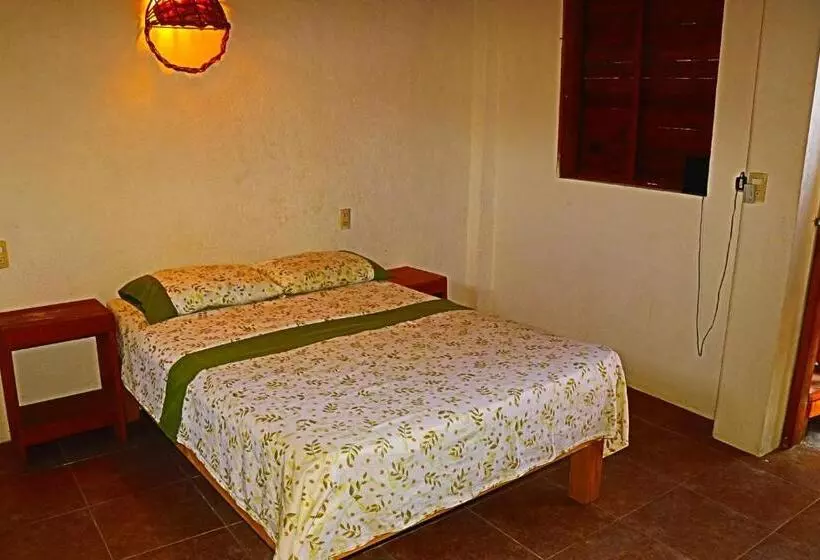 Hotelli Cafe Maya   Casa Acalli