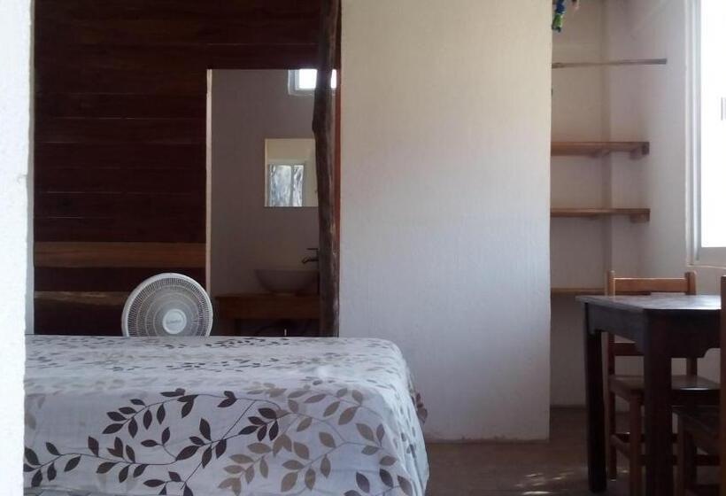 酒店 Cafe Maya   Casa Acalli