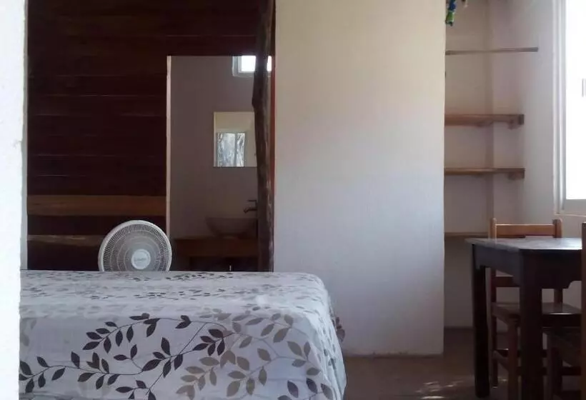 Hotelli Cafe Maya   Casa Acalli