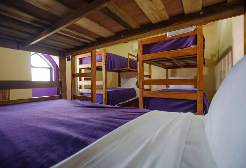 ホテル Casa Anaya   Hostel