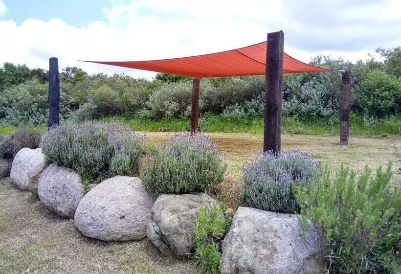 هتل Echological   Glamping