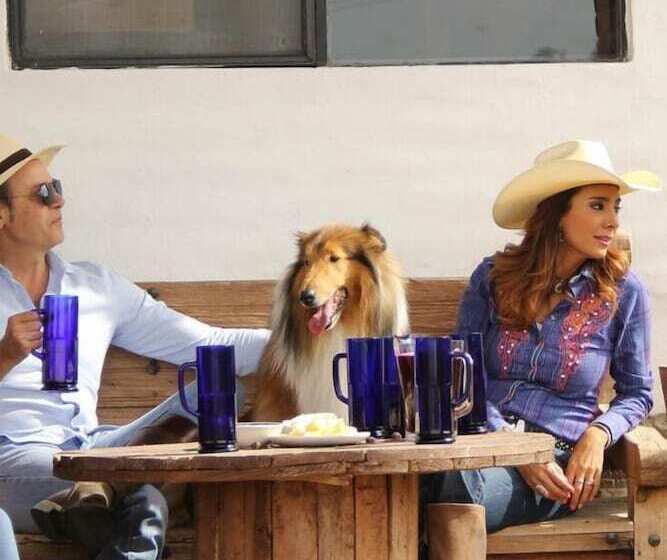 فندق Echological Glamping