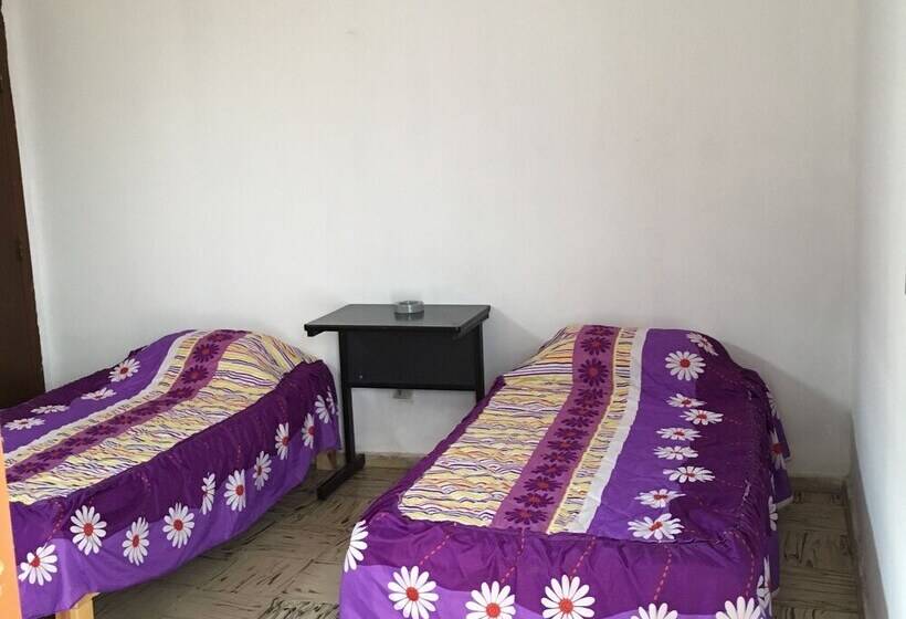 هتل Green House Hostal Hostel