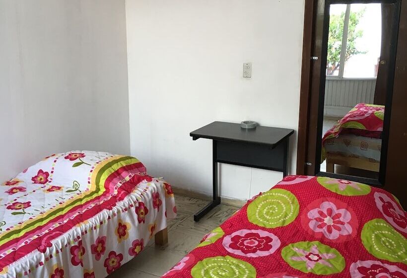 هتل Green House Hostal Hostel