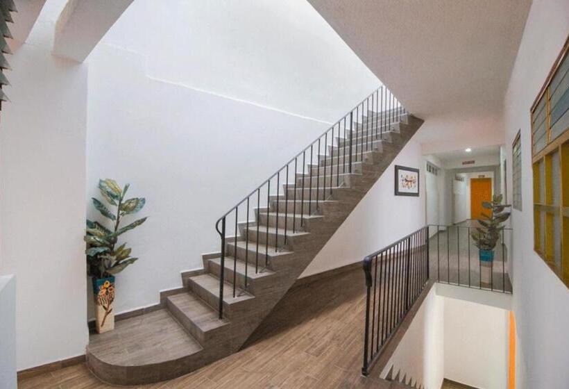 Отель San Carlos