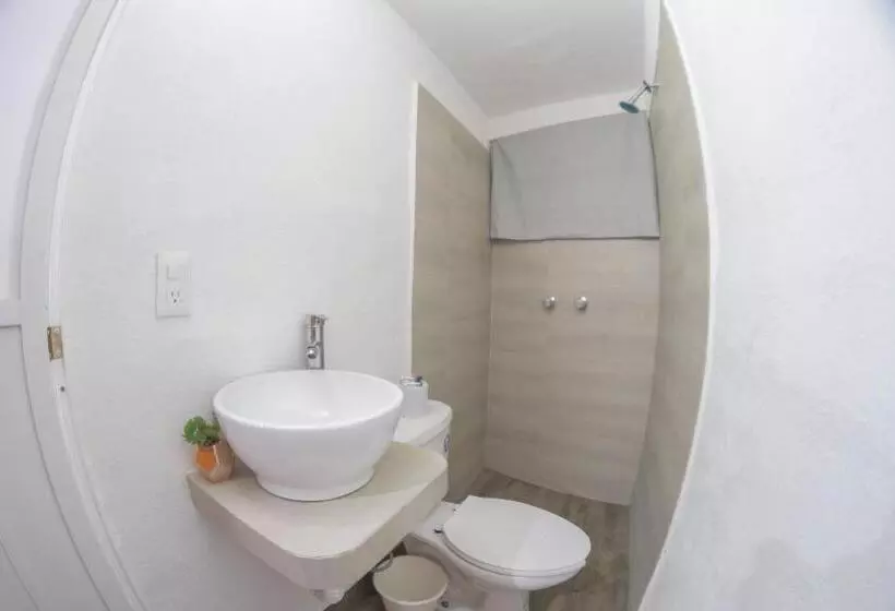 ホテル San Carlos