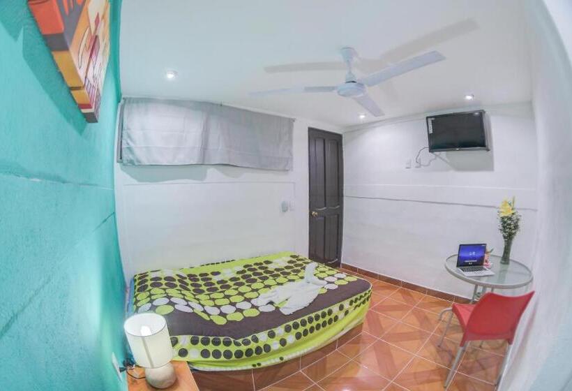 Отель San Carlos