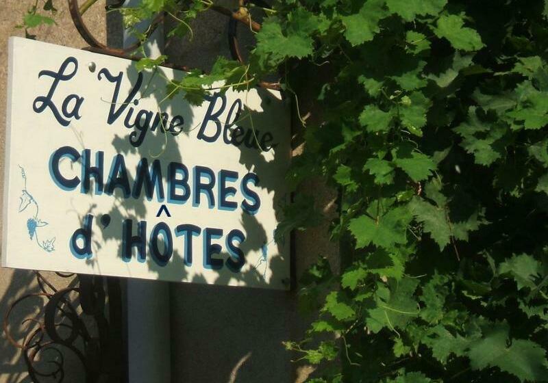 بنسيون La Vigne Bleue