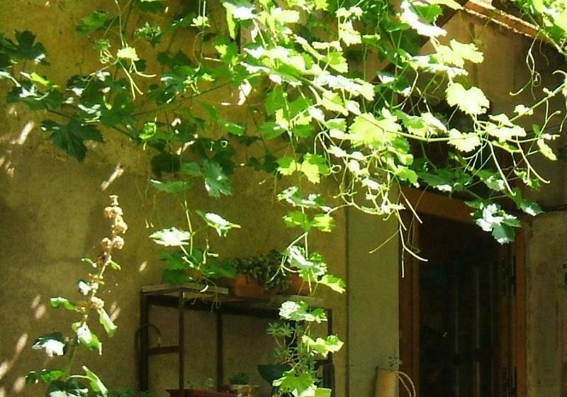 بنسيون La Vigne Bleue