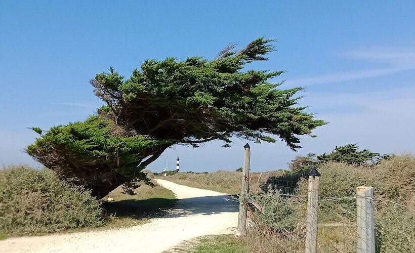Rezydencja Olydea - Les Sables Vignier