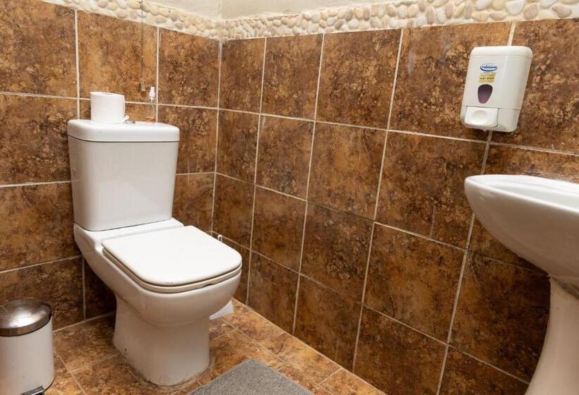 פנסיון Ikhutse Manor Guesthouse