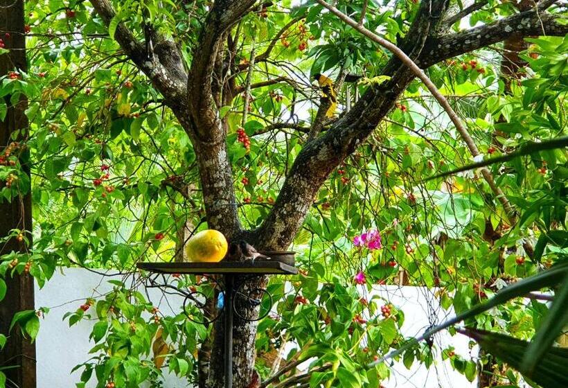 פנסיון Olee Villa