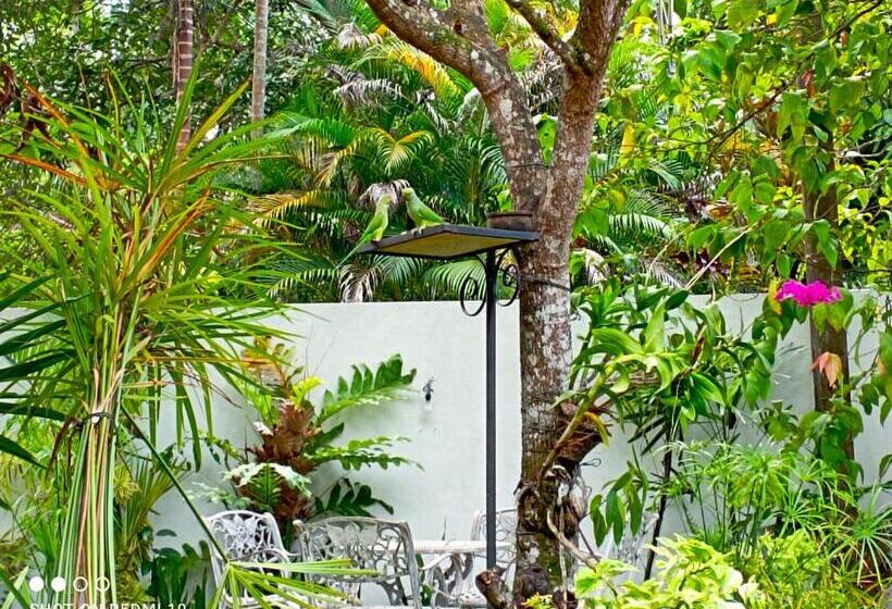 פנסיון Olee Villa