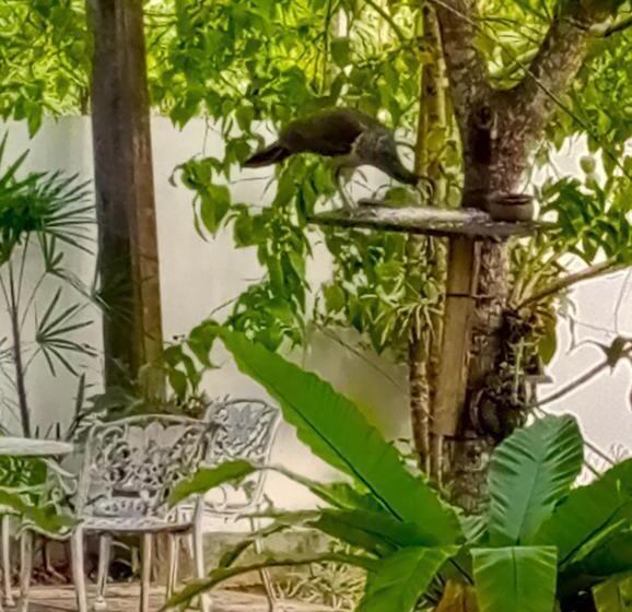 פנסיון Olee Villa