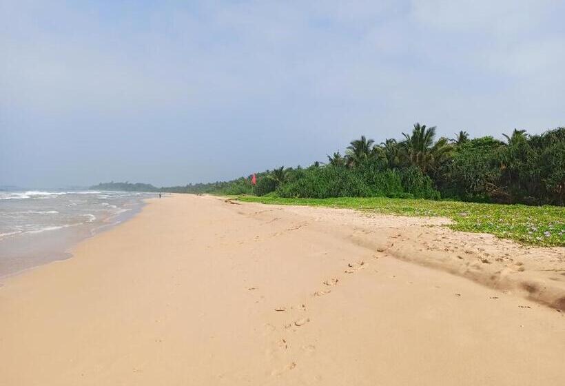 פנסיון Olee Villa