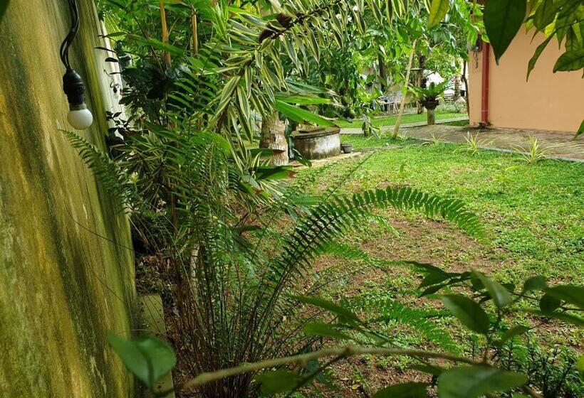 פנסיון Olee Villa