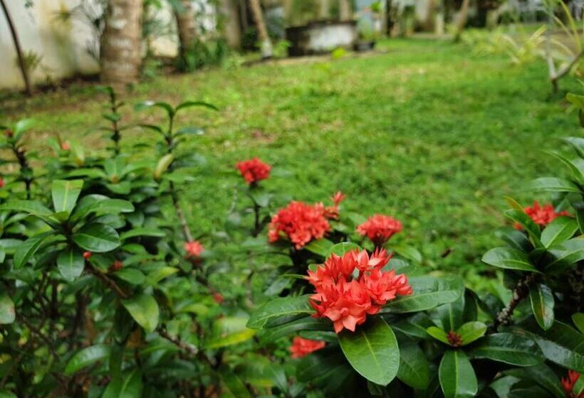 פנסיון Olee Villa