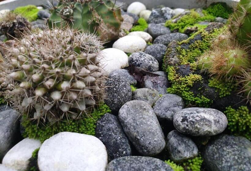 פנסיון Olee Villa