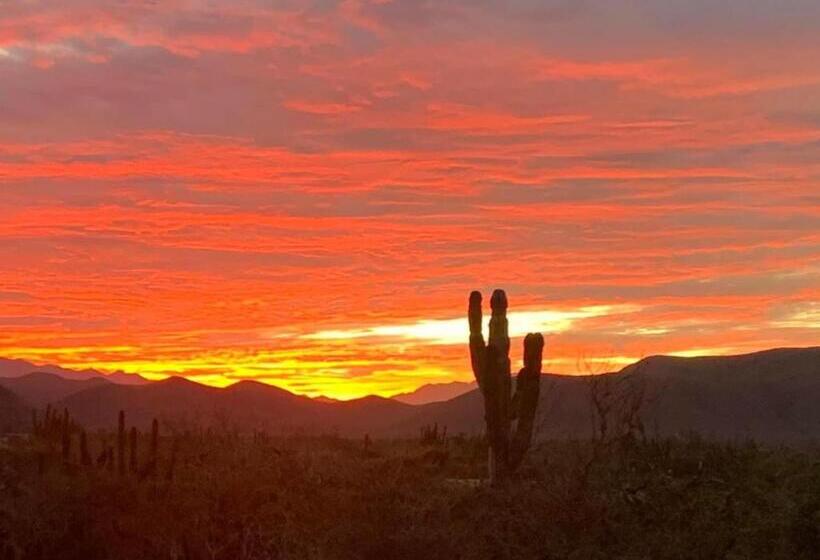 ベッドアンドブレックファースト Baja69 Lodge