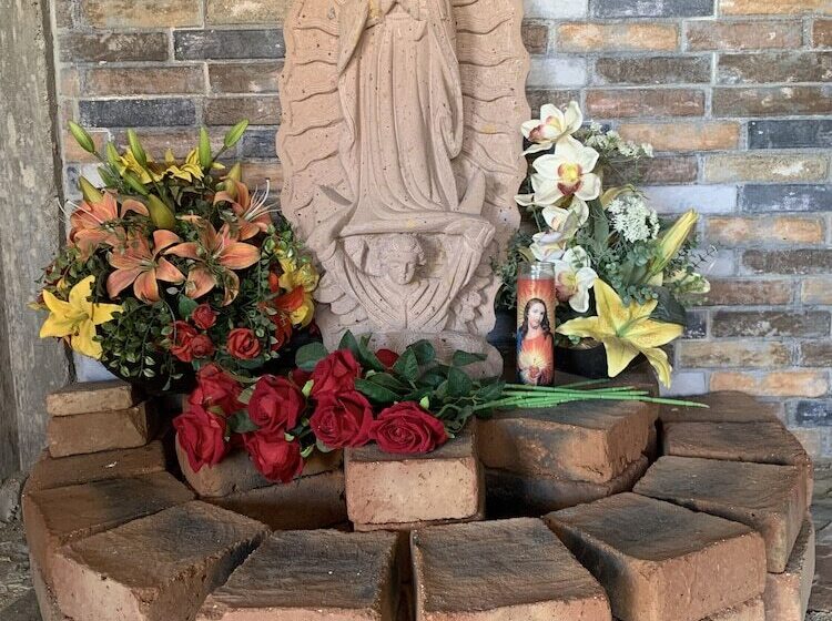 ベッドアンドブレックファースト Baja69 Lodge