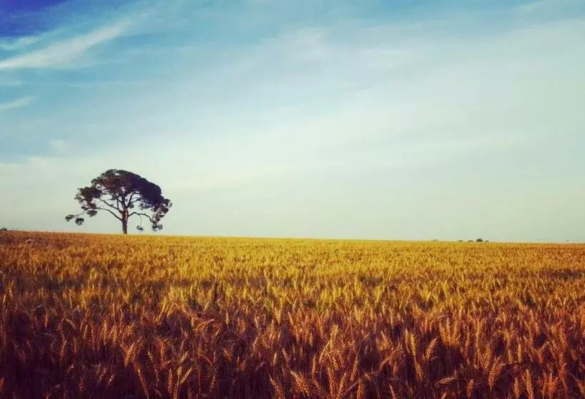 ベッドアンドブレックファースト Pie Castello