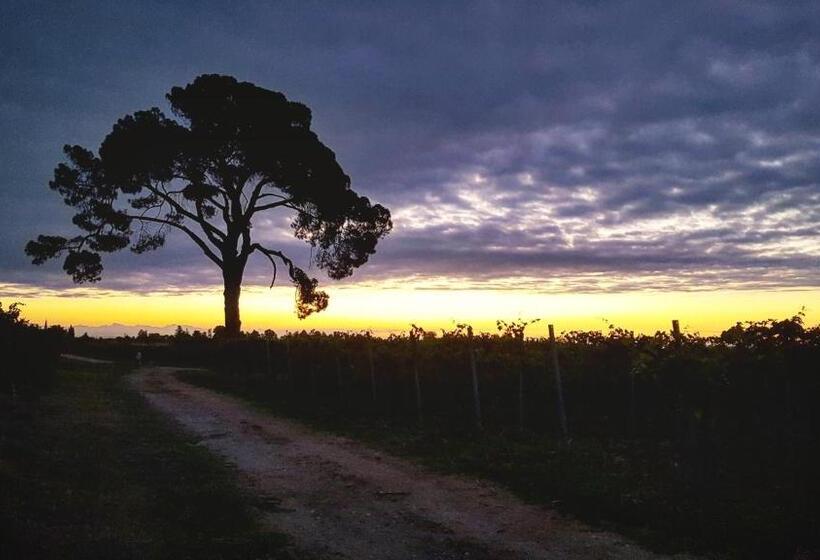 Nocleg ze śniadaniem Pie Castello