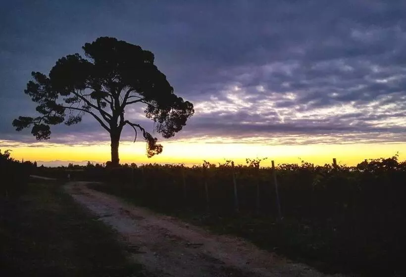 ベッドアンドブレックファースト Pie Castello