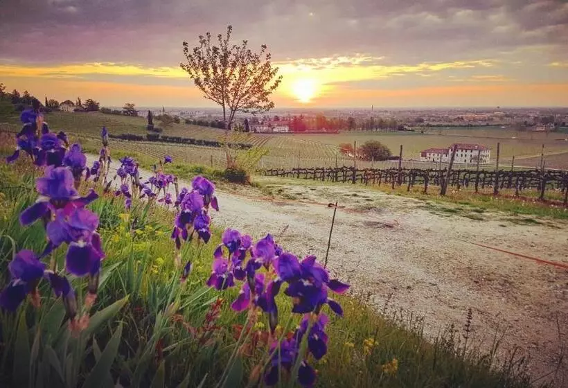 ベッドアンドブレックファースト Pie Castello