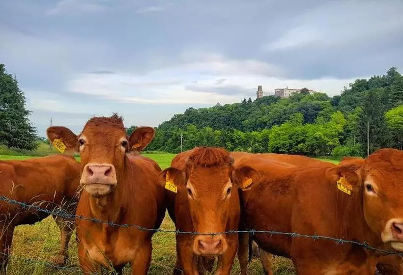 ベッドアンドブレックファースト Pie Castello